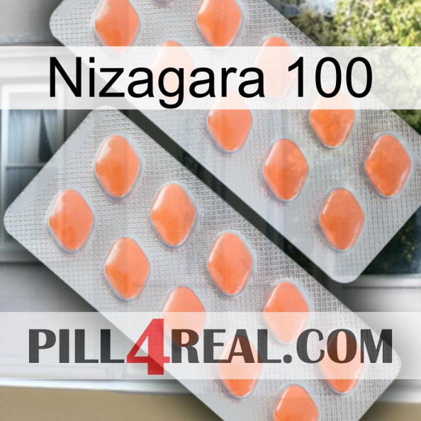 Nizagara 100 27